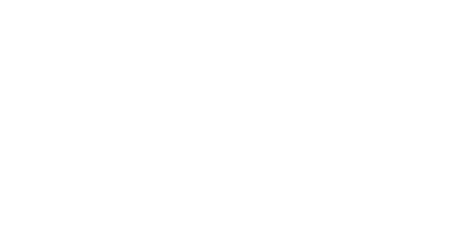3333 copia